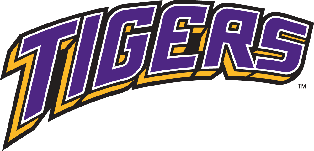 LSU Tigers 2002-Pres Wordmark Logo v4 DIY iron on transfer (heat transfer)